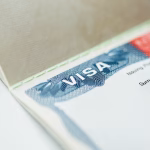 davet mektubu, vize başvurusu, davetname, invitation letter, C-3 vize, D-2 vize, turistik vize, iş vizesi, ziyaret vizesi, konsolosluk, büyükelçilik, vize belgeleri