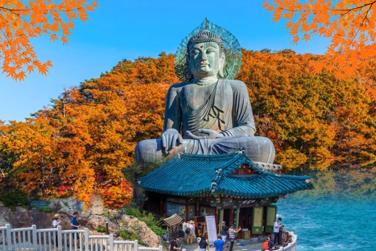 Sokcho'da Tatil: En Güzel Manzaralar ve Gezilecek Noktalar