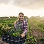 WWOOFing, WWOOF Kore, Kore'de gönüllülük, WWOOF vizesi, Kore gönüllü tarım, WWOOF nedir, WWOOFing vize gerekli mi, Kore'de çiftlik hayatı, WWOOF Kore kayıt, Kore'de ücretsiz konaklama