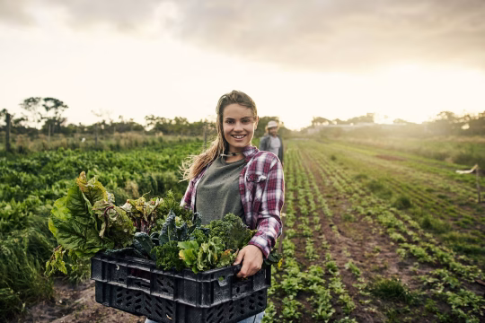 WWOOFing, WWOOF Kore, Kore'de gönüllülük, WWOOF vizesi, Kore gönüllü tarım, WWOOF nedir, WWOOFing vize gerekli mi, Kore'de çiftlik hayatı, WWOOF Kore kayıt, Kore'de ücretsiz konaklama