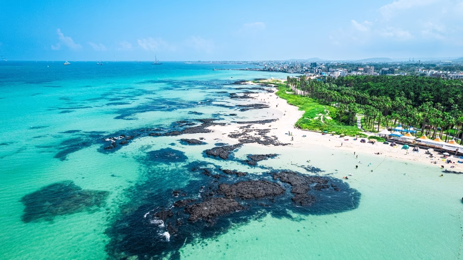 Jeju Adası Gezi Rehberi | Kore’nin Hawaii’si 4 Hyeopjae Plajı