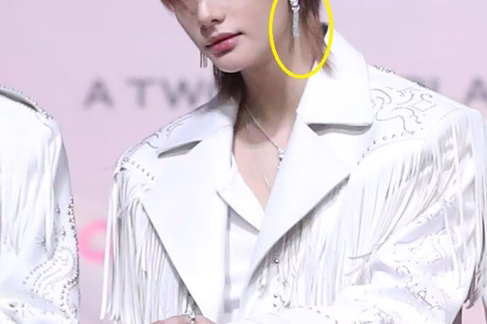 stray kids hyunjin cartier earring incident 30001034611700jpg xdgqdupweinkkybyapdomwrezkuwy6o4rt1h037kzec.jpg